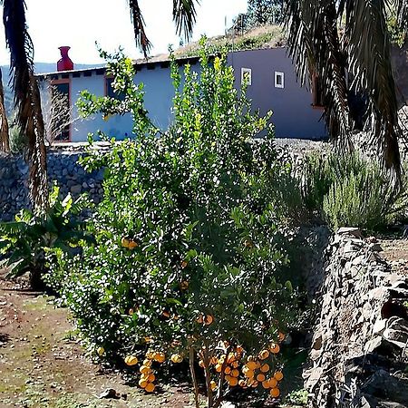 Casa La Montana Villa El Cedro Ngoại thất bức ảnh