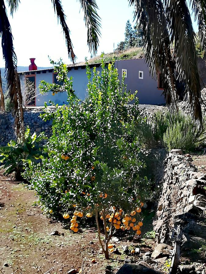 Casa La Montana Villa El Cedro Ngoại thất bức ảnh